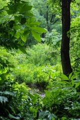 Fototapeta premium A lush forest being restored with diverse plant species, with animals returning to their natural habitat