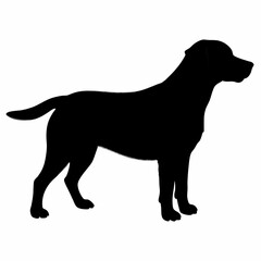 Dog Silhouette svg, Digital Download, Dog Silhouette svg bundle,Dog Silhouette png,Dog Breed Silhouettes, Dog Breed SVG