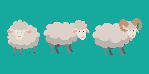 Three Sheep Grazing on a Peaceful Meadow at Sunrise