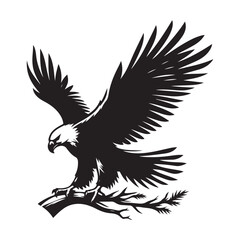 vector,eagle silhouette