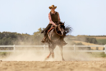 Western riding concept: A young woman and her black quarter horse stallion doing some reining dressage lessons and interacting together