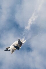 Vancouver Airshow F22