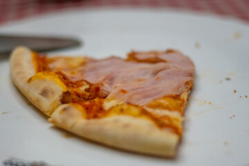 Pizza slice. Fresh homemade pizza. High quality photo 