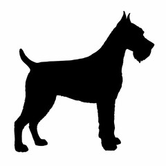 dog silhouette, dog vector art ,dog svg