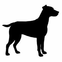 dog silhouette, dog vector art ,dog svg