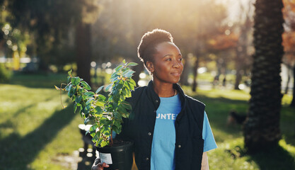 Help, volunteer and black woman in park with plant for growth, development or support on earth day....