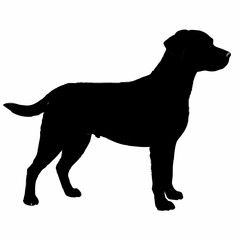 dog silhouette, dog vector art ,dog svg