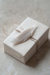  Minimalist autumn gift box with a single feather, neutral palette
