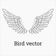 Set of black bird silhouettes. Vector elements for design