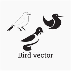 Set of black bird silhouettes. Vector elements for design