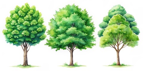 Watercolor Green Tree Illustration, Watercolor Painting, Green Trees, Nature Illustration, Forest Art