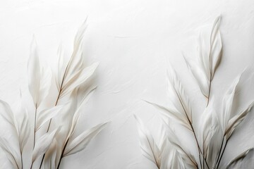 White Dried Leaves on a White Textured Background