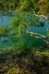 Beauty nature. The tranquil transparent waters of lake in the background. Beautiful nature lake. Landscape Reflection off of a clear lake water surface on a bright sunny day. Calm pond in the forest.