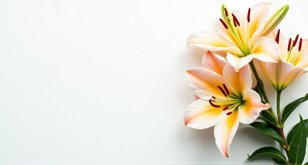 Naklejka premium bouquet of flowers