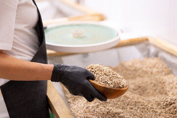 Worker washes sunflower seeds for oil on craft production, eco healthy food manufacturing.