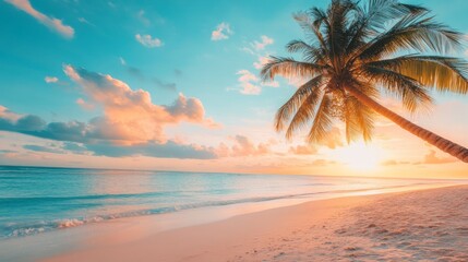 Beautiful sunset tropical beach with palm tree and blue sky for travel and vacation in holiday relax time