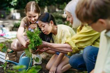 Young kids taking care of plants in school garden during at outdoor sustainable education class, planting flowers, herbs and vegetables. Concept of experiential learning and ecoliteracy.