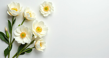 white daffodils in a vase