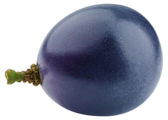 purple or blue Grape, isolated on white background, full depth of field