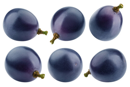 purple or blue Grape, isolated on white background, full depth of field