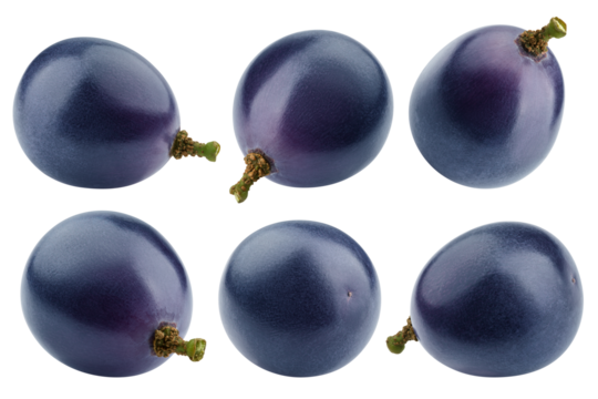 purple or blue Grape, isolated on white background, full depth of field
