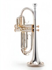 Silver Plated Cornet with Brass Accents