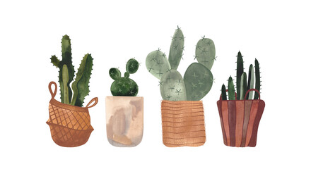 Set of cacti. House plants in baskets and pots. Plant growing as a hobby. Isolated watercolor illustration on white background. Clipart.