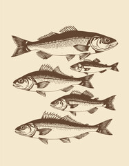 Five Stylized Fish in a Row