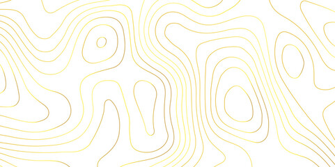 Abstract white topography geographic contour map background .topography white paper and golden waves lines backdrop background .modern geographic contour map vector illustration .