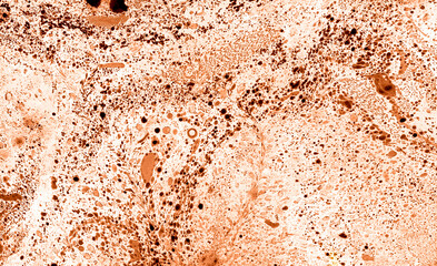 Abstract texture marble background. Filled with different shades of peach fuzz color. Brown, pink, black spots. And unevenly scattered drops, different in size. Decor, wallpaper, soft texture.