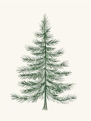 Obraz premium Hand-drawn Illustration of a Green Pine Tree.