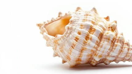 Obraz premium Summer background with text space.