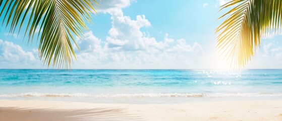 palm tree in foreground, bright blue ocean in background