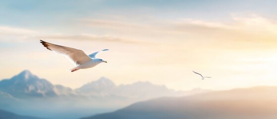 Fototapeta premium A seagull in flight against a backdrop of a distant mountain, with a foreground bird present