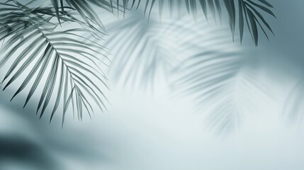 Elegant palm leaves softly silhouetted against a dreamy, misty background, creating a tranquil and serene atmosphere.