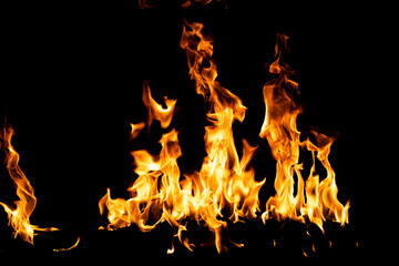 Fire flame. Burn lights on a black background.