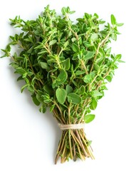 Naklejka premium Fresh Thyme Sprigs Bundled with Twine on White Background