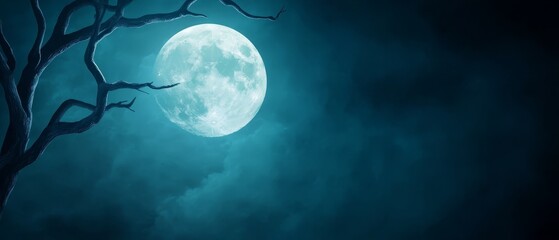 Fototapeta premium A solitary tree, devoid of leaves, against a darkened night sky Moon in its full splendor, center stage