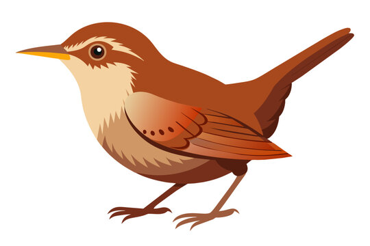 recommend clip art:  Beautiful bird wren vector art illustration
