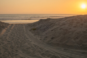Scenic view of a golden hour sunset over sand dunes and Pacific ocean on Coronado Silver Strand Beach, San Diego, California