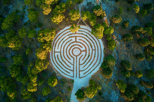 Aerial view of circular hedge maze surrounded by dense forest trees. Lavender labyrinth in Rogoznica, Croatia