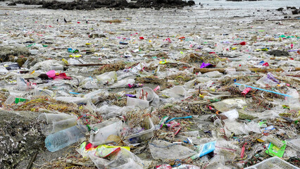 Trash on the Beach, the beach is filled with trash, such as water bottles and plastic, which is considered marine pollution. Beach Pollution.