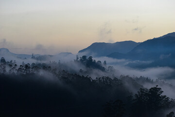 Mountain ranges covered in fog in Munnar which is one of the beautiful and romantic tourist locations in Kerala, India. Clicked on  08-22-2023