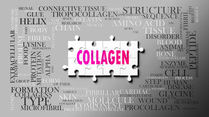 Collagen as a complex subject, related to important topics. Pictured as a puzzle and a word cloud made of most important ideas and phrases related to collagen. ,3d illustration © GoodIdeas
