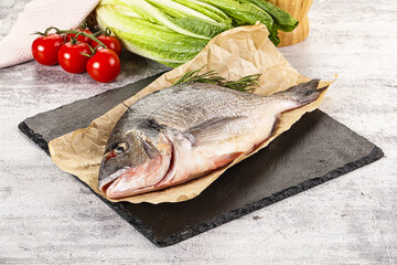 Raw dorada fish served rosemary