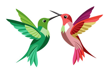 Beautiful hummingbird couple vector art illustration 