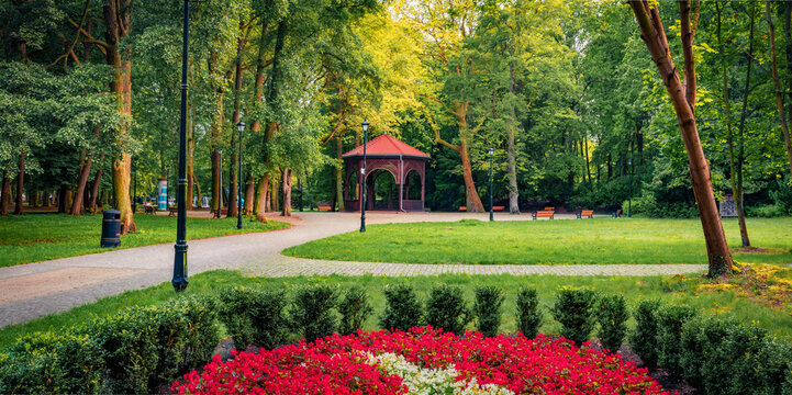 Empty alley in Zdrojowy park. Gresh green scene of botanical garden with blooming flowers and old trees in Swinoujscie town, Poland, Europe. Beauty of nature concept background.