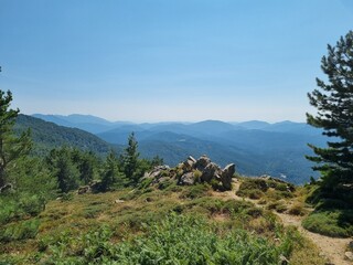 hiking trails in the beautiful mountain massif Col de Bavella with pine trees at Bocca di Bavedda, corsica, france