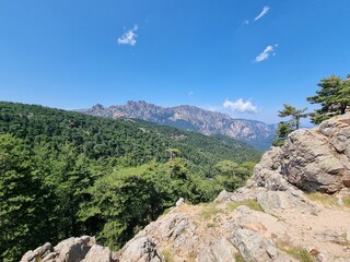 hiking trails in the beautiful mountain massif Col de Bavella with pine trees at Bocca di Bavedda, corsica, france