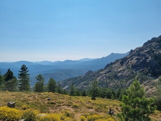hiking trails in the beautiful mountain massif Col de Bavella with pine trees at Bocca di Bavedda, corsica, france